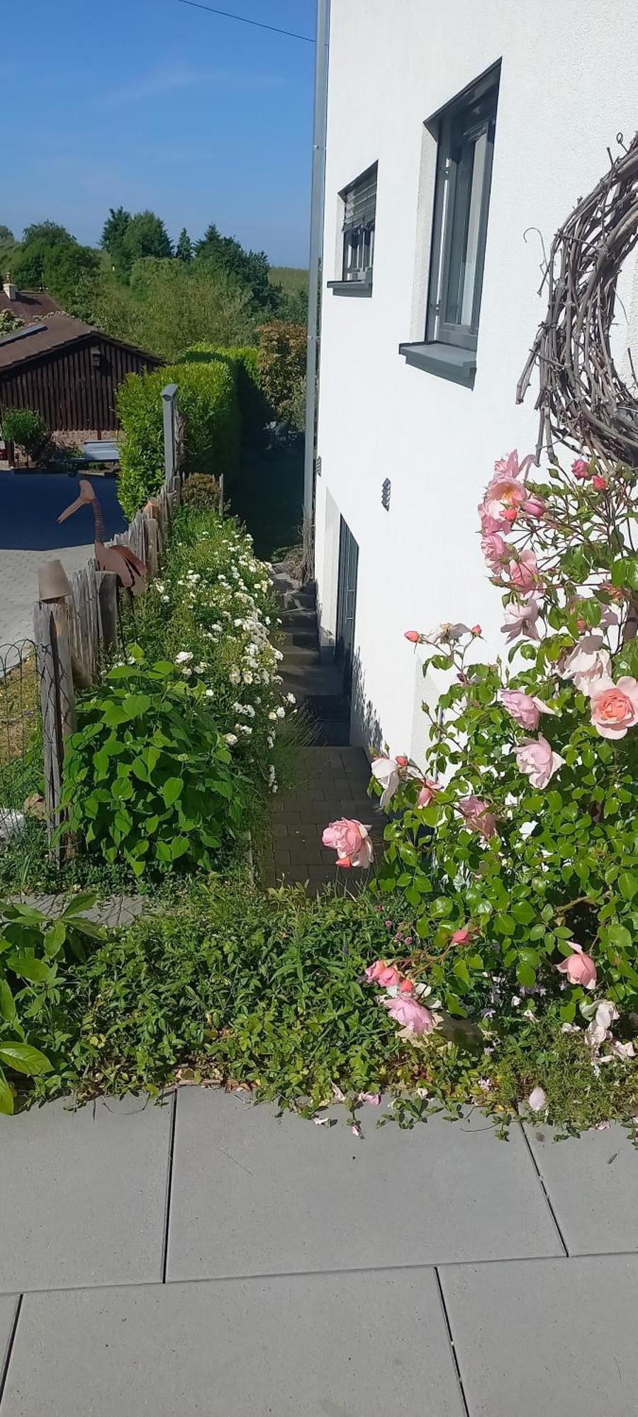 Ferienwohnung Rebgaertle Britzingen Exterior foto